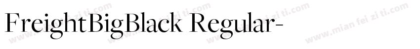 FreightBigBlack Regular字体转换